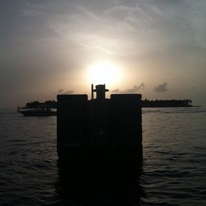 Meet your Posher, Clayton